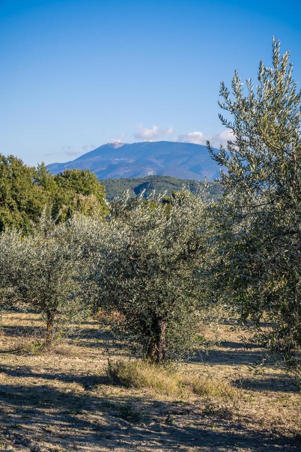 Gite "La Sainte-Croix", Traditional Provencal House For 8 People, Private Swimming-Pool, Air-Conditioner, Beautiful Scenery فيسون-لا-رومان المظهر الخارجي الصورة