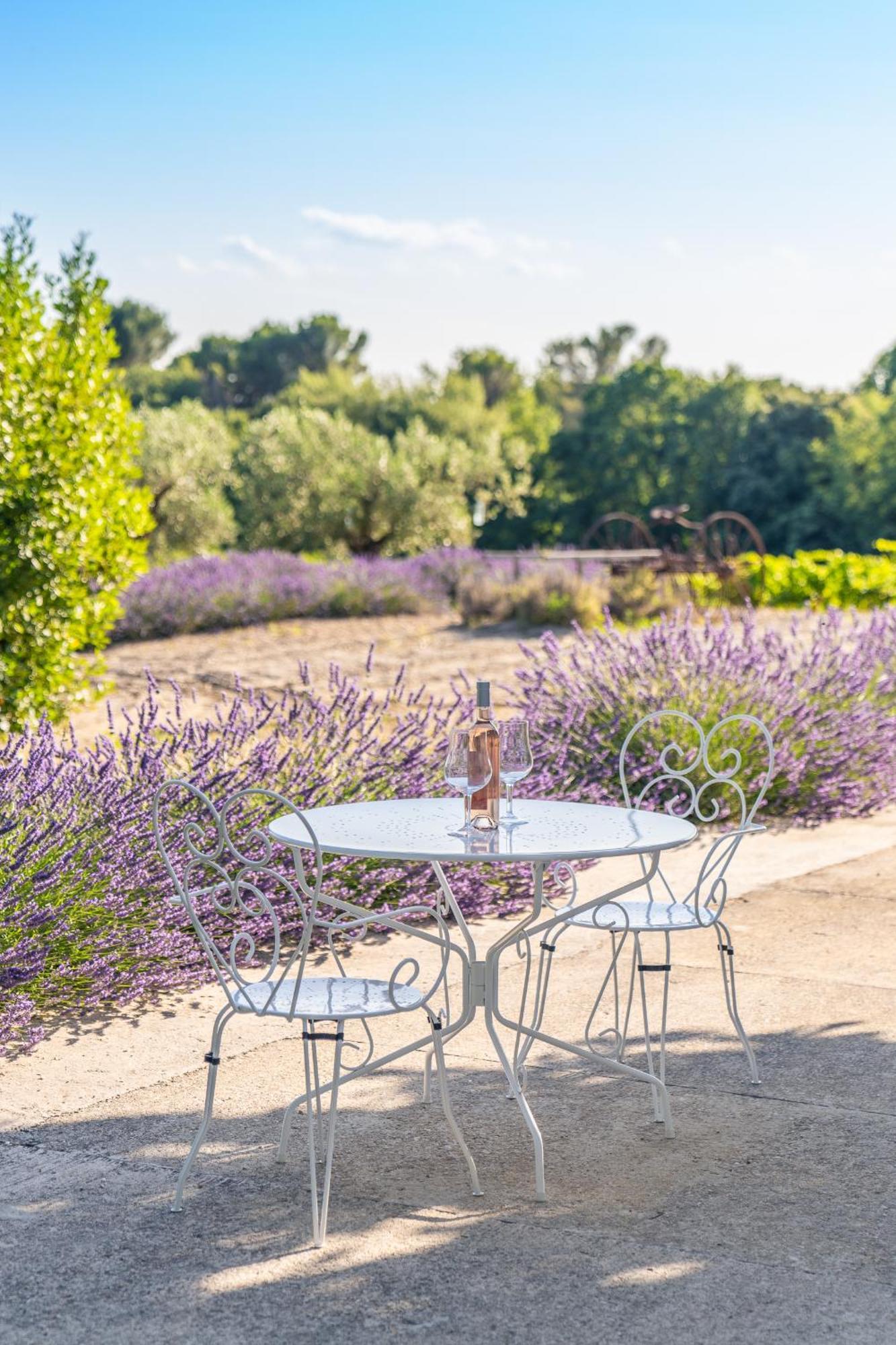 Gite "La Sainte-Croix", Traditional Provencal House For 8 People, Private Swimming-Pool, Air-Conditioner, Beautiful Scenery فيسون-لا-رومان المظهر الخارجي الصورة