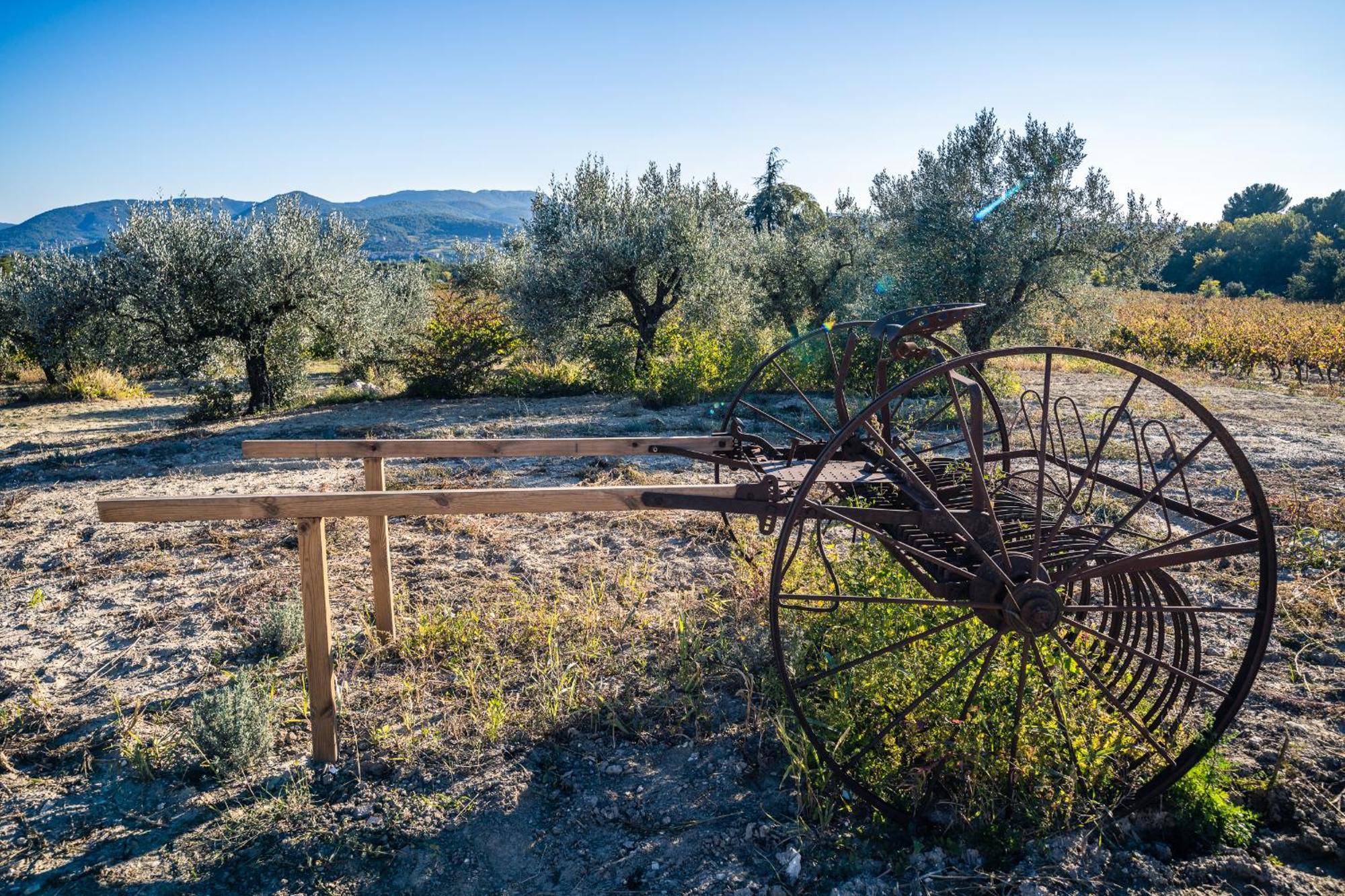Gite "La Sainte-Croix", Traditional Provencal House For 8 People, Private Swimming-Pool, Air-Conditioner, Beautiful Scenery فيسون-لا-رومان المظهر الخارجي الصورة
