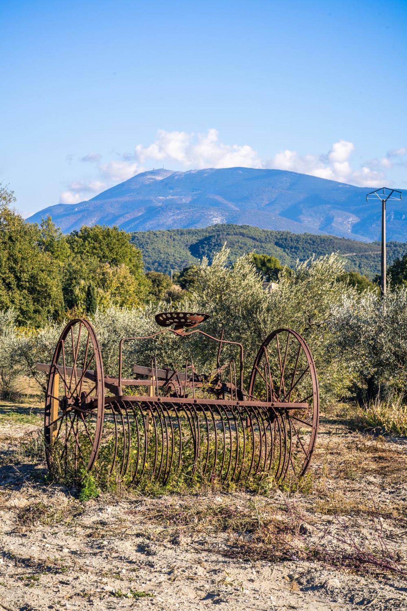 Gite "La Sainte-Croix", Traditional Provencal House For 8 People, Private Swimming-Pool, Air-Conditioner, Beautiful Scenery فيسون-لا-رومان المظهر الخارجي الصورة